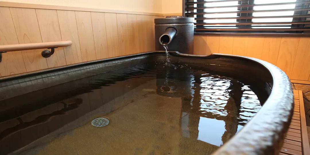 Takayama Green Hotel