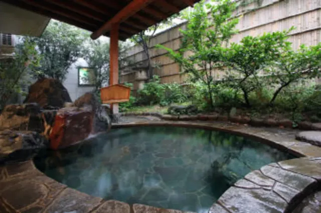 越後湯澤溫泉 音羽屋旅館｜越後湯澤站步行7分-和室【不挑房】-6