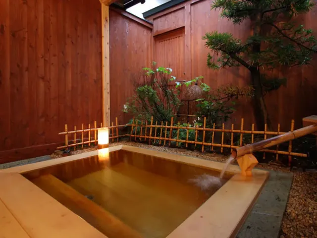 越後湯澤溫泉 音羽屋旅館｜越後湯澤站步行7分-和室【不挑房】-4