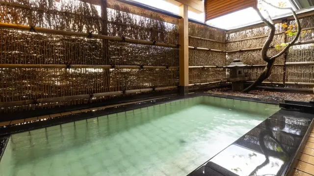 越後湯澤溫泉 音羽屋旅館｜越後湯澤站步行7分-和室【不挑房】-6