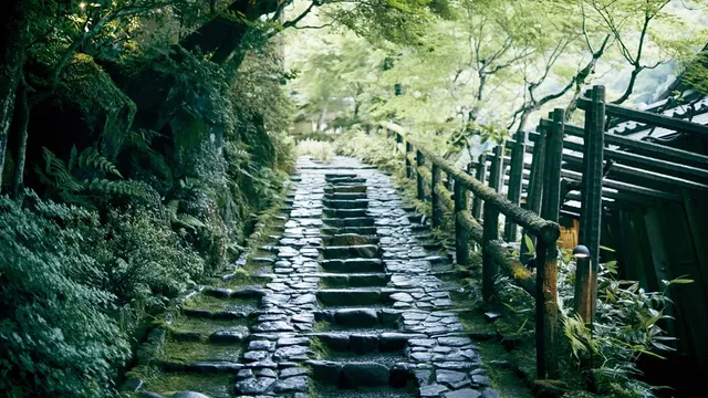 【星野集團】虹夕諾雅 京都｜嵐山站徒步10分/天龍寺徒步10分-山之端和室: 最多3人【不挑房】-4