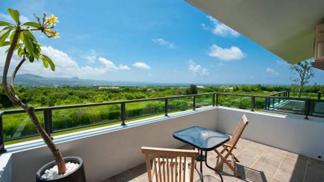 Tree characteristics of the homestay-Valencia 2 Person Room-5