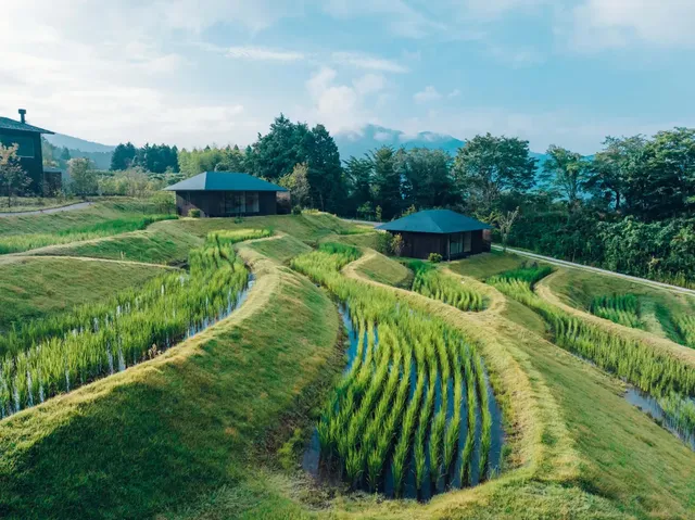 【星野集團】界 由布院｜由布院站免費接送/由布院站開車10分/金鱗湖開車8分-FA4 和室｜4人【不挑房】-5