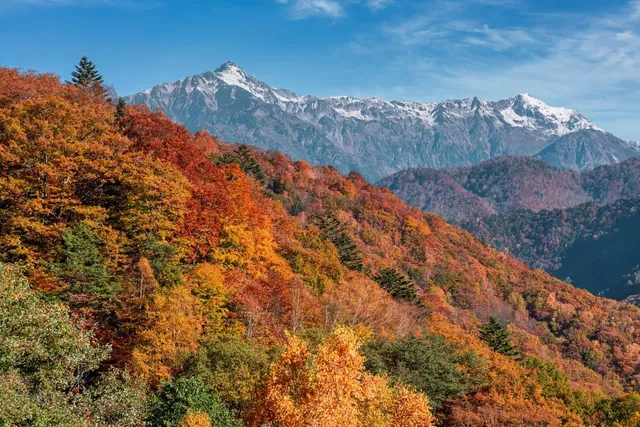 【星野集團】界 奥飛驒｜高山站開車45分/上高地開車20分-FB4: 和室｜4人【不挑房】-4