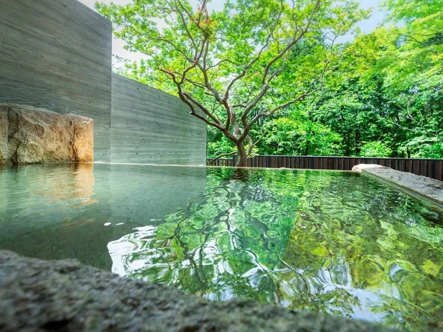 【星野集團】界 仙石原｜近箱根玻璃之森美術館/方便至仙石原芒草草原-RA2 別館：和洋室附露天浴池｜2人【不挑房】-5