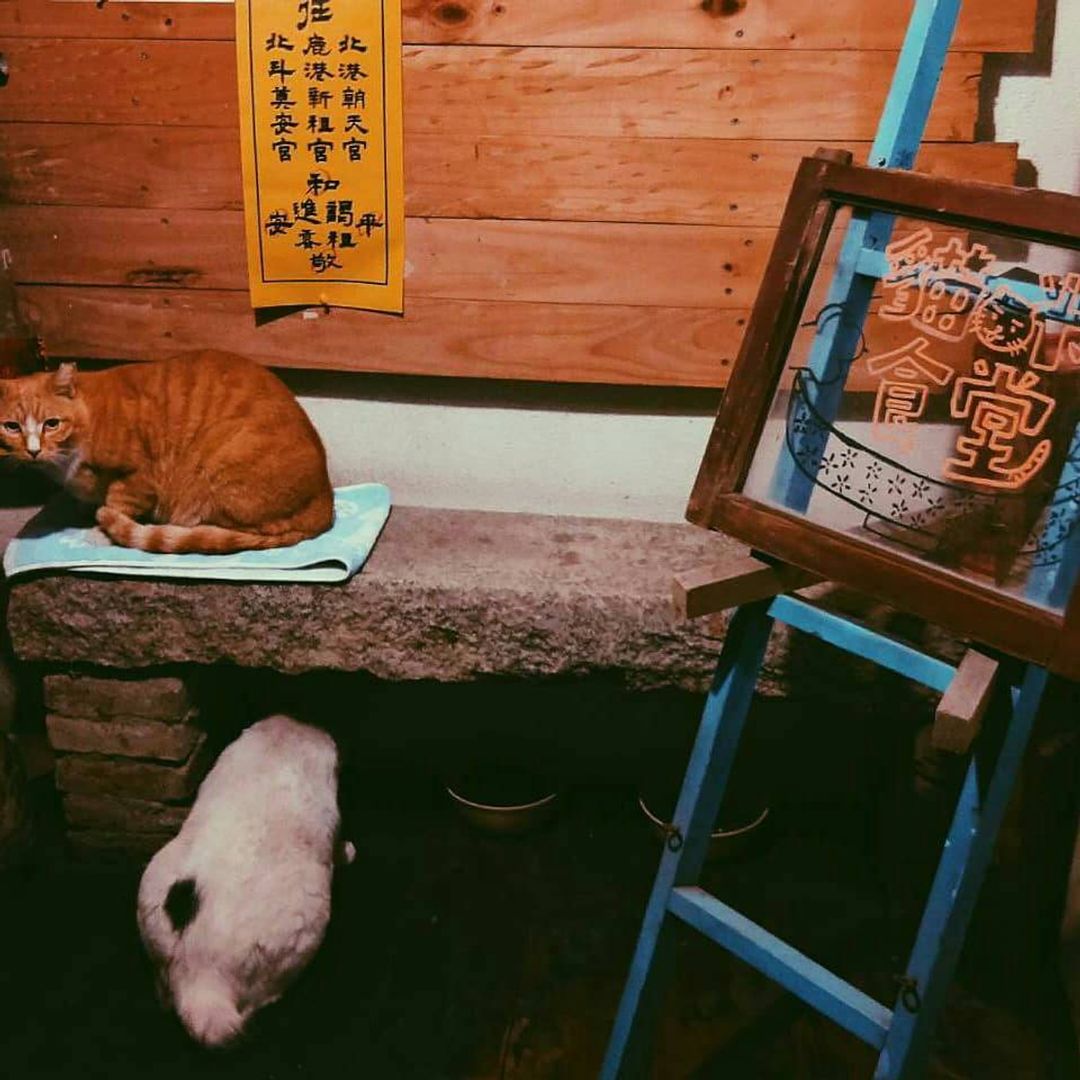 小艾人文工坊