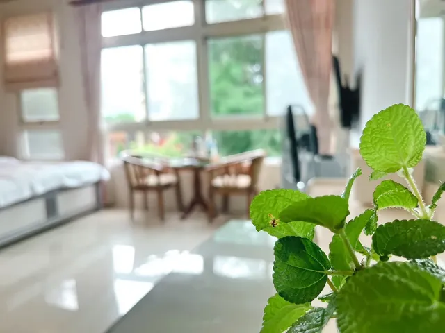 花蓮統一的家民宿 | 附早餐 | BBQ-馬里勿雙人房 l 含早餐-7