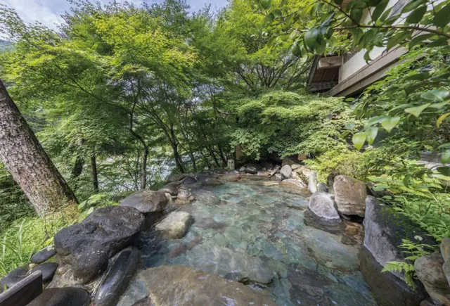 鬼怒川溫泉花之宿松屋旅館｜鬼怒川溫泉站徒步3分/大浴場/日光東照宮開車30分-和室｜露天風呂、10張榻榻米、庭園【不挑房】-5