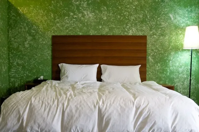 Good Health SPOTS-Double room-11