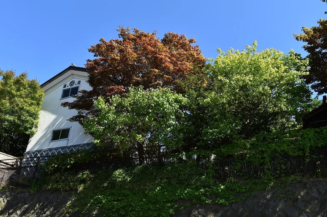 水天宮下旅居-2｜小樽音樂盒堂本館步行10分