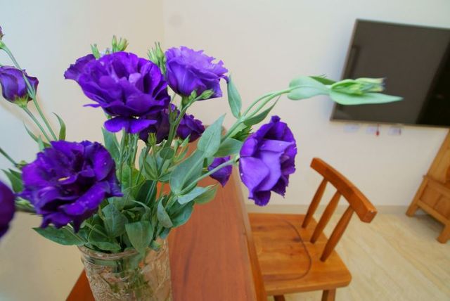 Happiness Light House-Double room-4