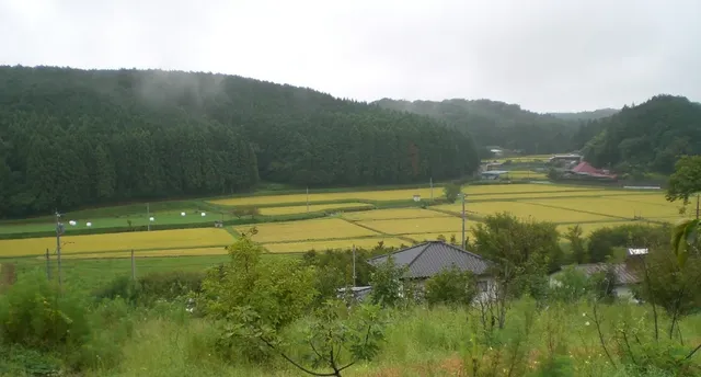 田園風景