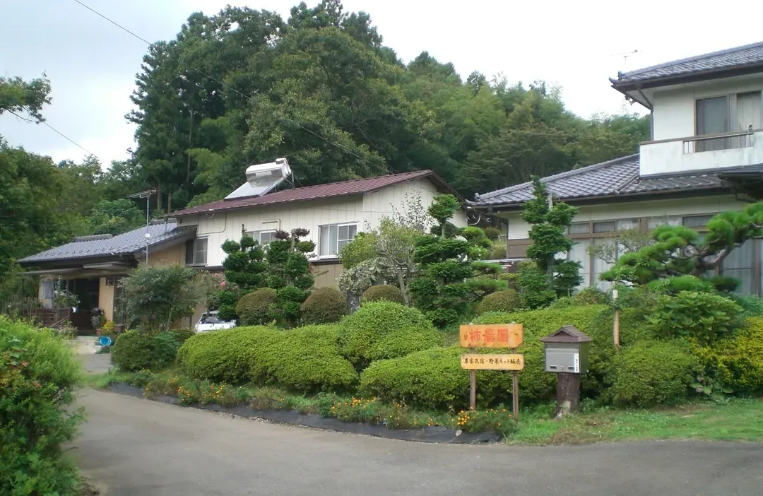 柿农园