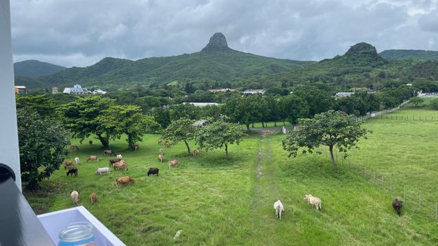 海的墾丁旅店 (Ocean KT Inn)-陽台山景雙人房-7