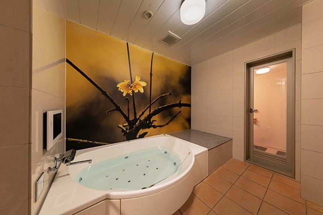 Hotel & Spa Lotus