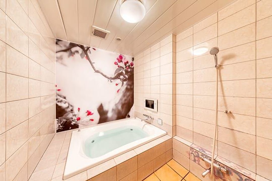 Hotel & Spa Lotus