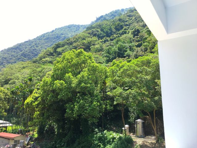埔里觀瀑渡假民宿-典雅寰宇四人房(可攜帶寵物)-10