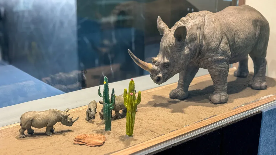 Rhino Homestay