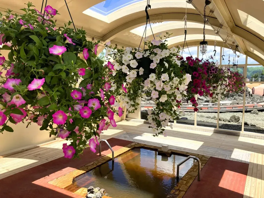 阿蘇農莊(大自然阿蘇健康之森)