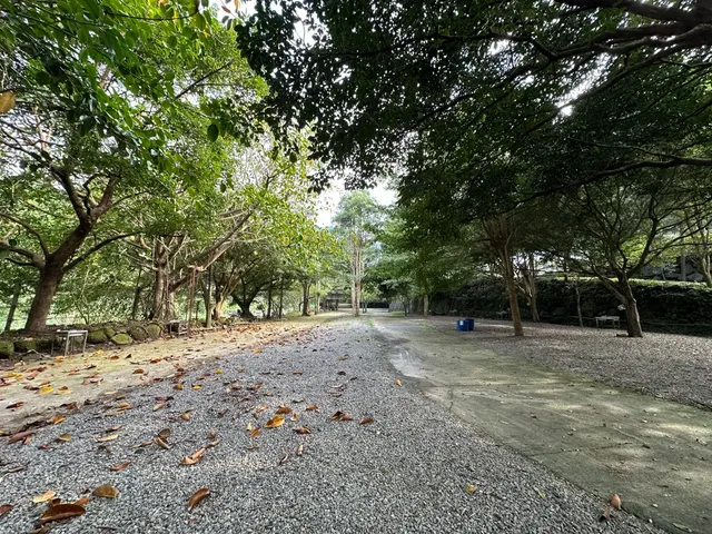 帆船村露營區｜獨家7折起！豪華露營一泊三食-【自搭帳】自搭帳/車宿｜5M*8M-4