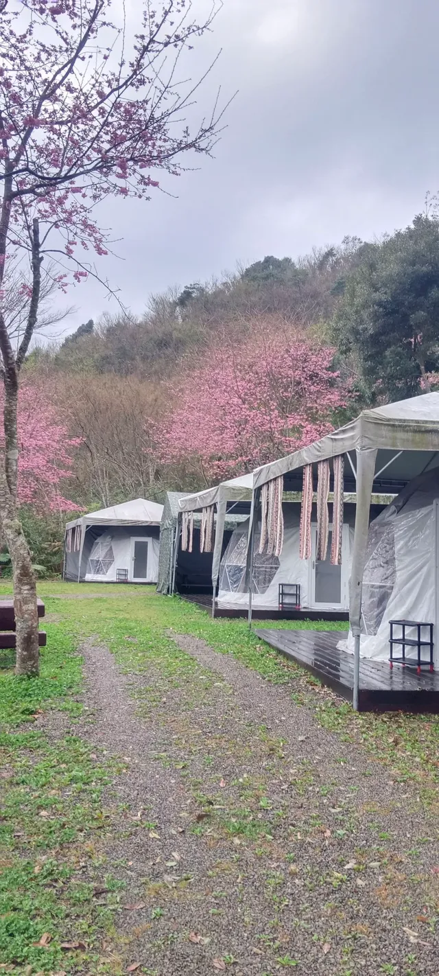 貝德拉蔓露營區 | 一泊三食豪華露營、五峰高海拔觀星、手作 DIY 體驗、寵物友善-【懶人露營】C 球屋|2~5人-9