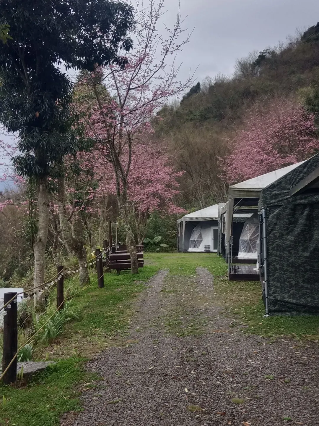 Ruyan Camping