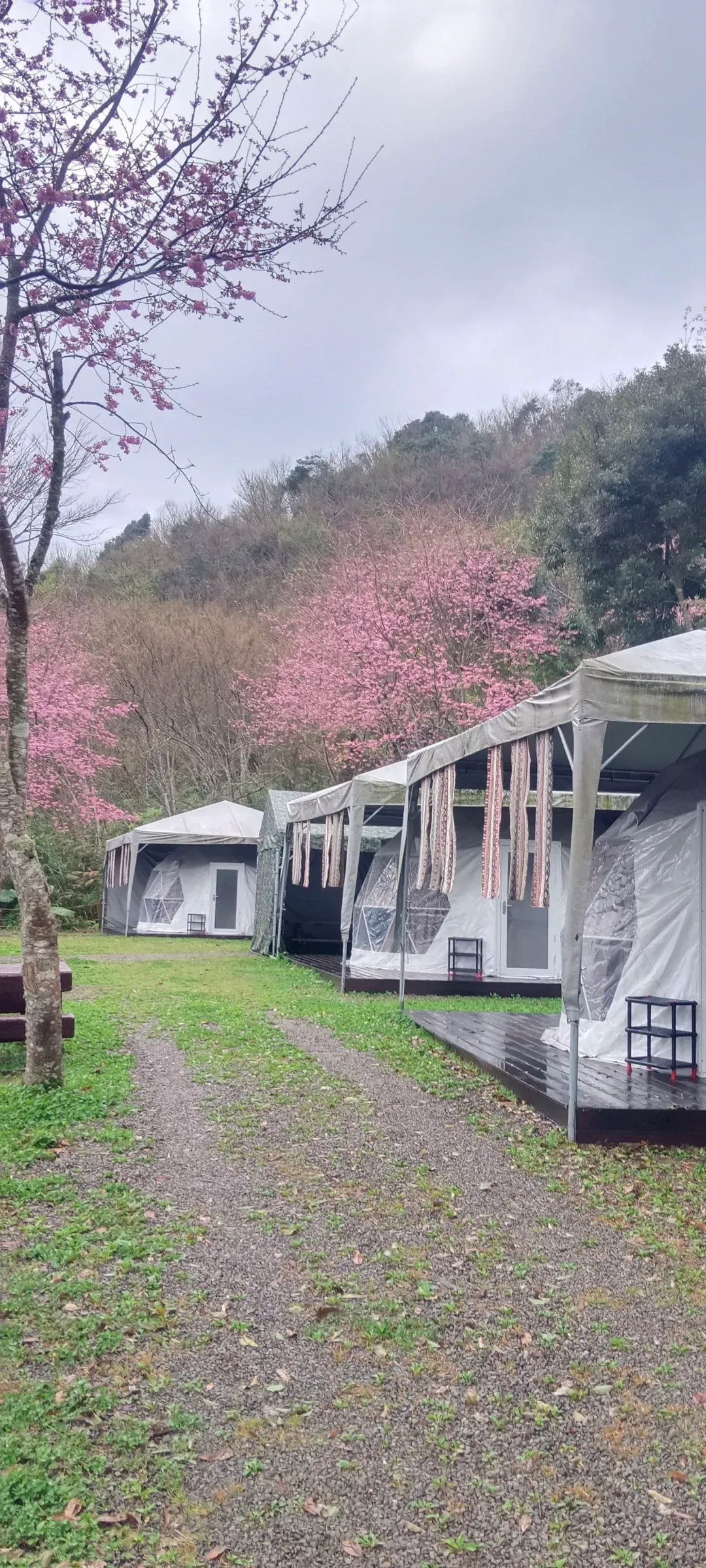 Ruyan Camping