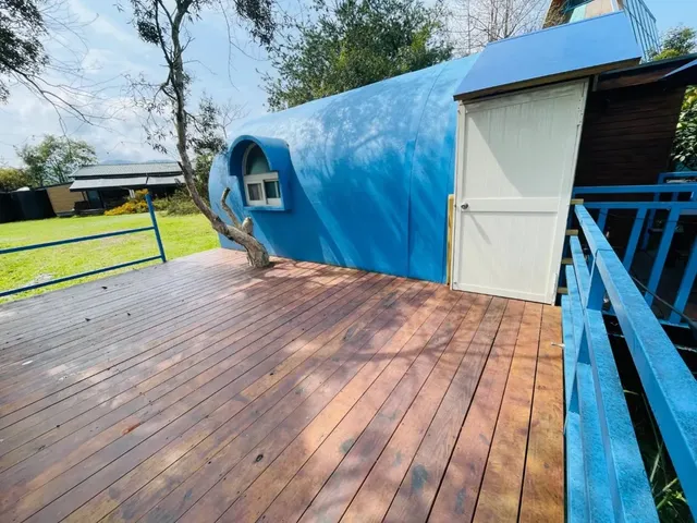 深山林內生態農場｜全新太空艙、狩獵帳、星空玻璃屋-森林小屋-6