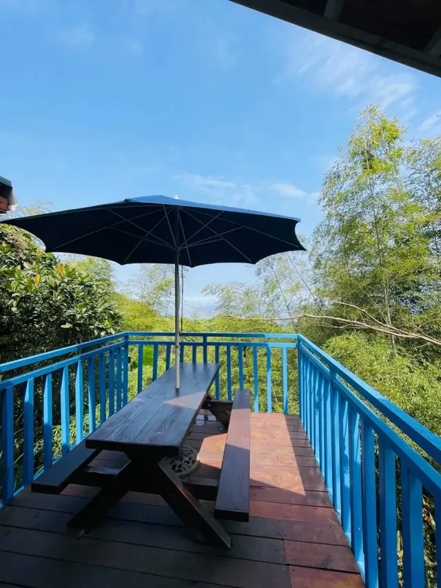 深山林內生態農場｜全新太空艙、狩獵帳、星空玻璃屋-森林小屋-2