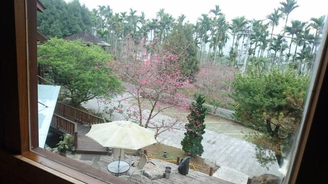 Sakura Villa-Log honeymoon double room-4