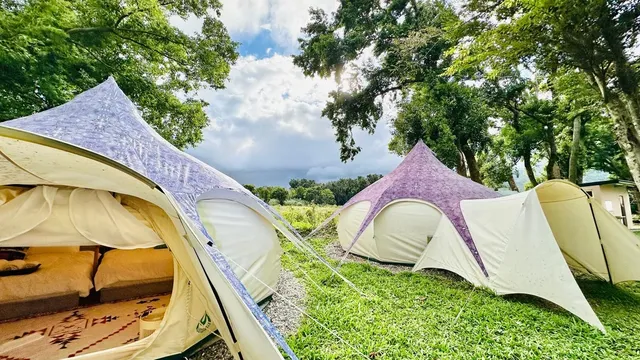 軒沐居Campsite | 鹿野高台，走路5分鐘就到熱氣球會場！多種豪華免搭帳篷及帳位-蓮花四人房-1