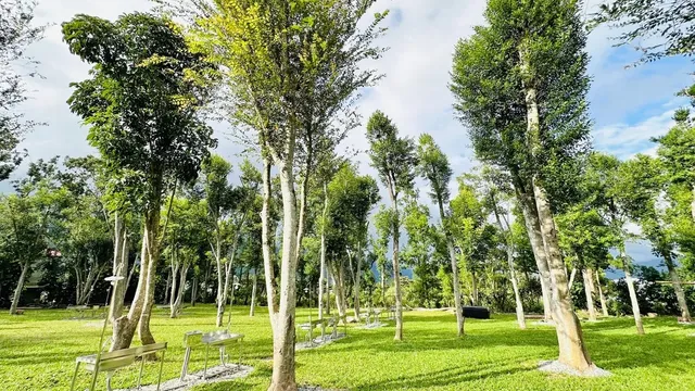 軒沐居Campsite | 鹿野高台，走路5分鐘就到熱氣球會場！多種豪華免搭帳篷及帳位-自搭帳蓬A區-3