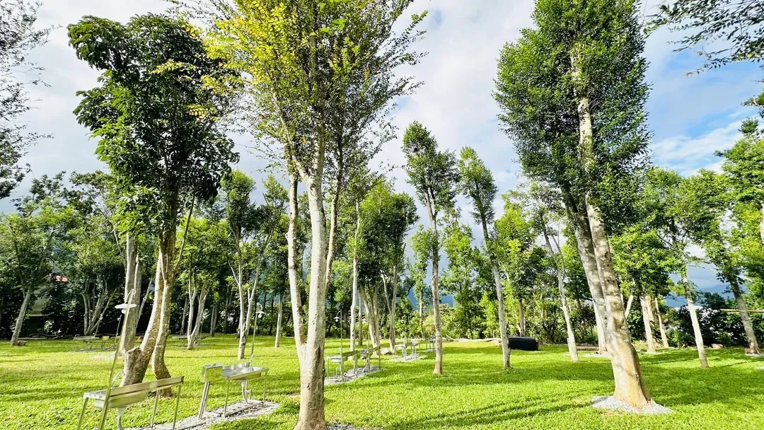 Xuanmuju Campsite | Newly launched! Near Luye high platform, a variety of tents to choose from