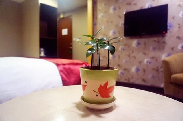 每日溫泉旅店 l 房內獨立泡湯池-豪華三人房-3
