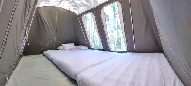 風尚野牛帳，可住4-6人，1人1枕1被