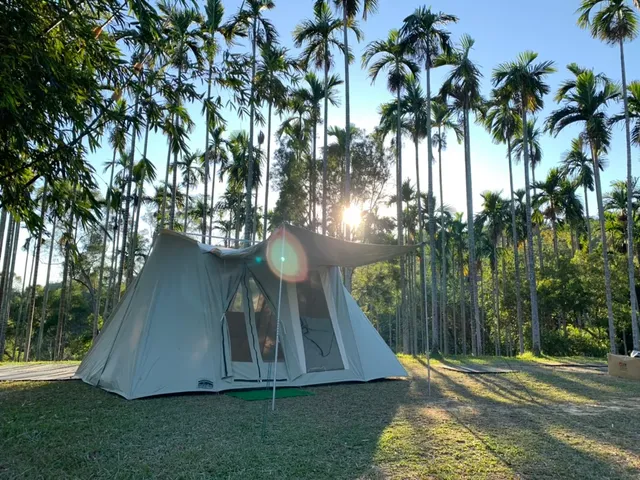 風尚野牛帳，可住4-6人