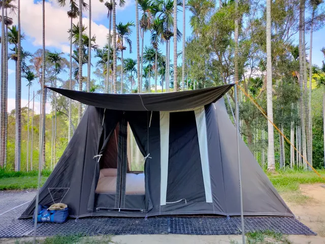 風尚野牛帳，可住4-6人