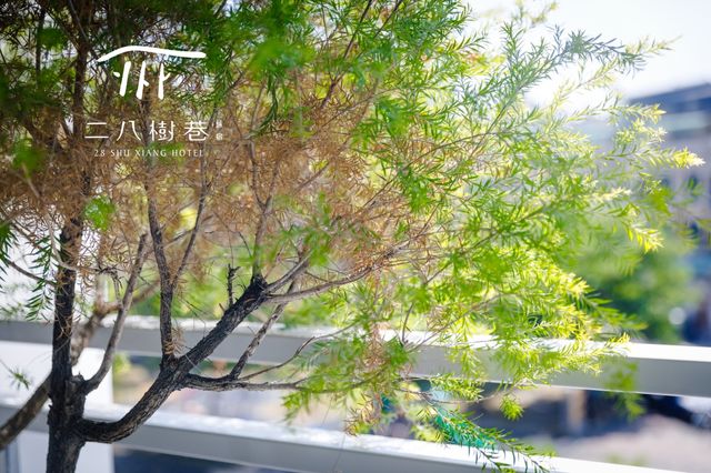 二八樹巷藝術文旅-香柏雙床房-5