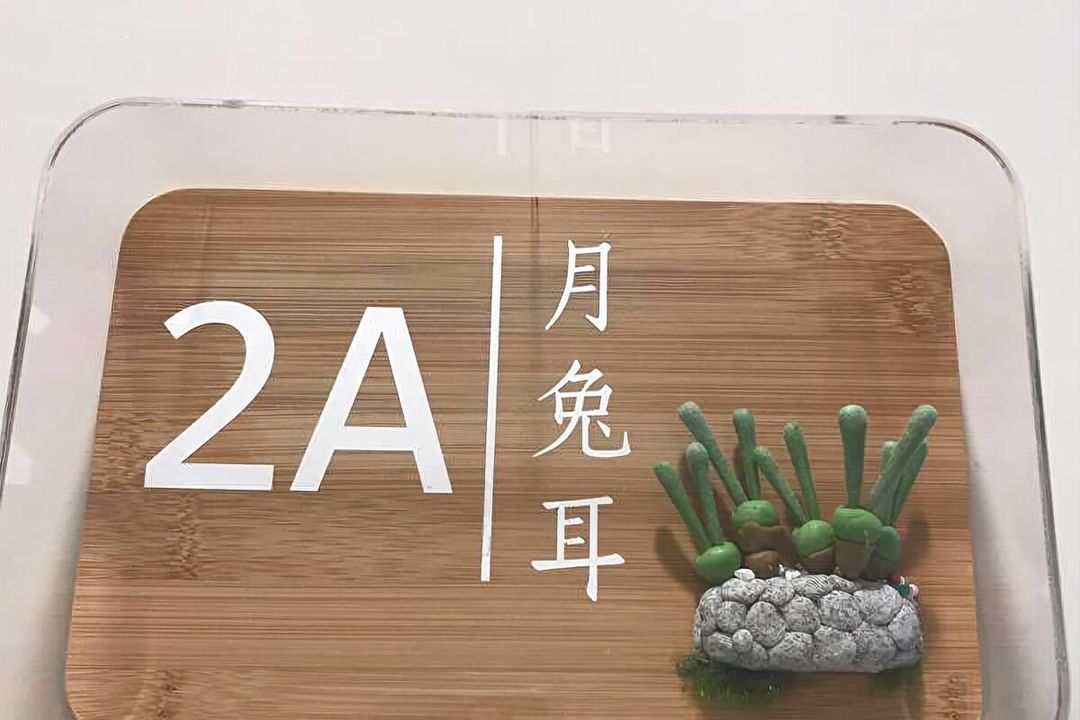 嵵里。仙人掌海景民宿｜网红推荐