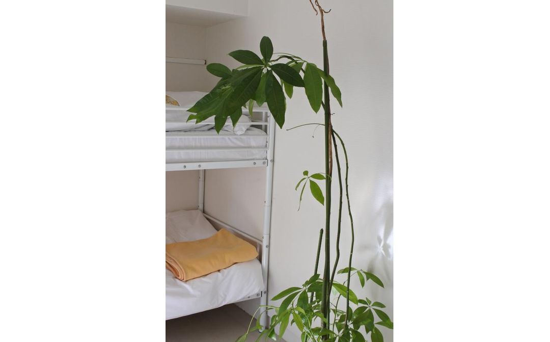 Guest House M104 Kagoshima