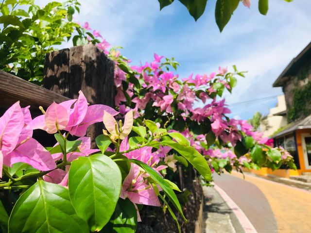墾丁莎莎の拉夢民宿 | 寵物友善-花園景觀四人房-2號樓-5