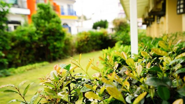 墾丁莎莎の拉夢民宿 | 寵物友善-花園景觀雙人房-2號樓-5