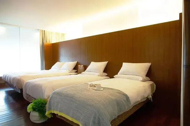 Luminous Hot Spring Resort & SPA-PT Lu Ding Six-person Luxury Suite｜2026 Spring Festiva-1