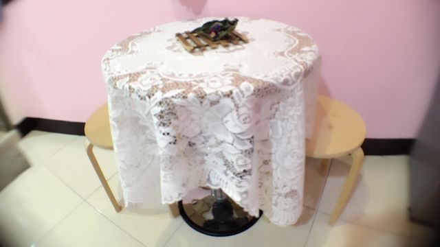 高芳大旅社-彩虹森林-3
