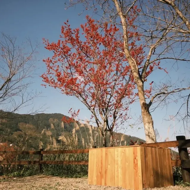 Yifeizhai Atayal College-[Aboriginal Experience] Forest Area｜2~3 people-6