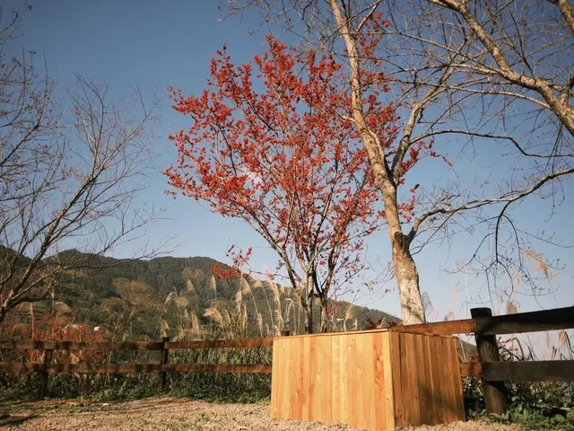 Yifeizhai Atayal College-[Indigenous Experience] Jungle Area | Tent for 2~4 people-7