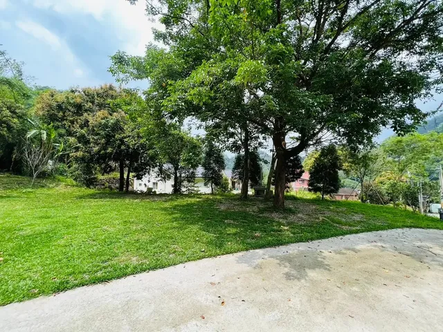 啊露吧Camping聖地 |  螢火蟲、銀河、落羽松超美風景-Ｄ區草皮碎石區-4