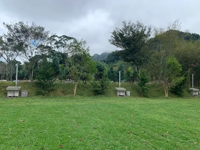 啊露吧Camping聖地 |  螢火蟲、銀河、落羽松超美風景-Ｄ區草皮碎石區-1