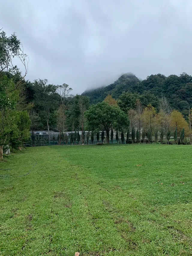 啊露吧Camping聖地 |  螢火蟲、銀河、落羽松超美風景-Ｄ區草皮碎石區-2