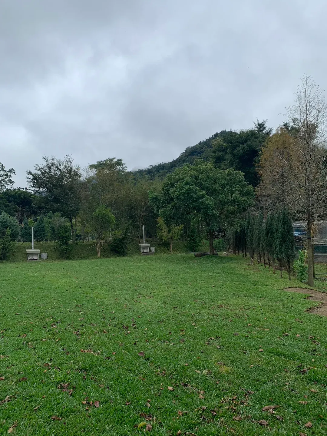 啊露吧Camping圣地 |  萤火虫、银河、落羽松超美风景